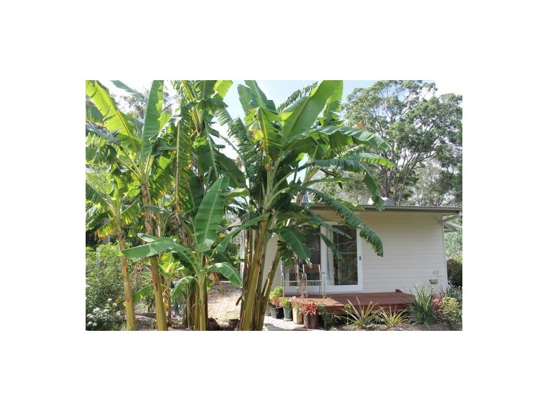 Dondingalong NSW 2440