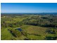Newee Creek NSW 2447