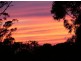 Newee Creek NSW 2447