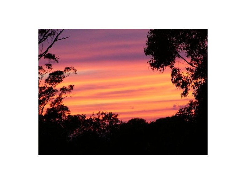 Newee Creek NSW 2447