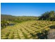 Newee Creek NSW 2447