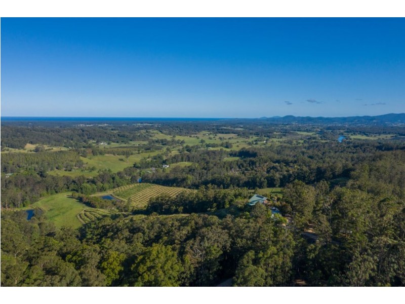 Newee Creek NSW 2447