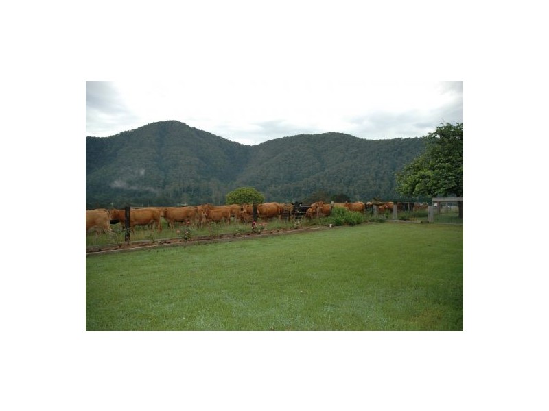 Rollands Plains NSW 2441