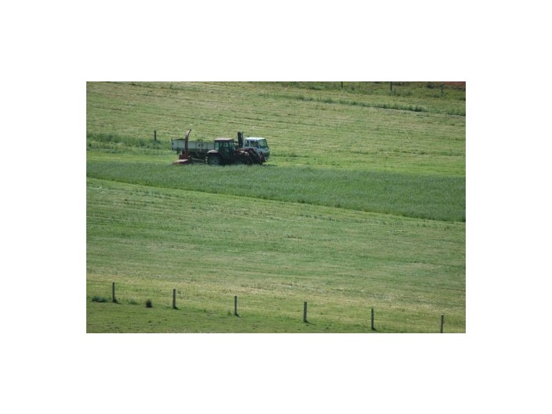 Rollands Plains NSW 2441