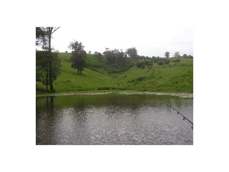 Rollands Plains NSW 2441