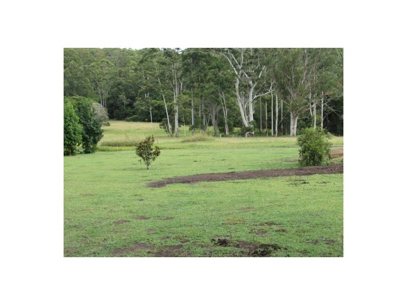 Mortons Creek NSW 2446