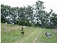 West Kempsey NSW 2440