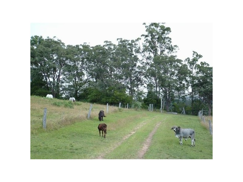West Kempsey NSW 2440