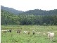 West Kempsey NSW 2440