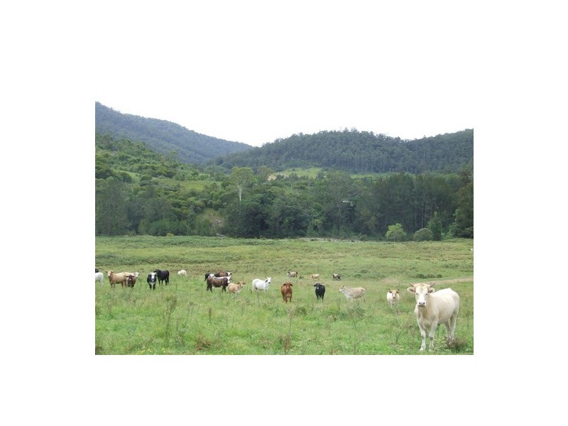 West Kempsey NSW 2440