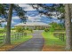 Rawdon Island NSW 2446