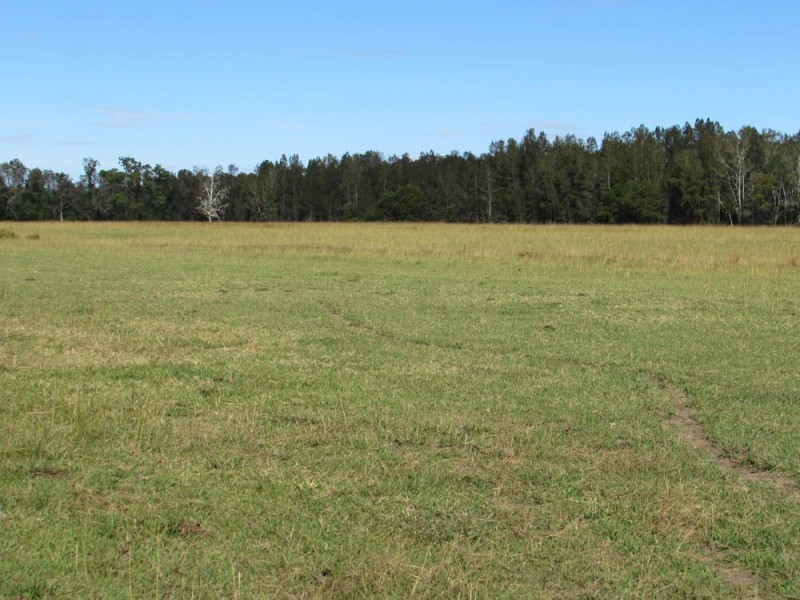 Hacks Ferry NSW 2441