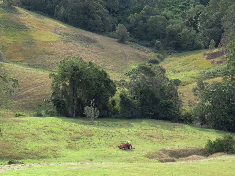 Taylors Arm NSW 2447