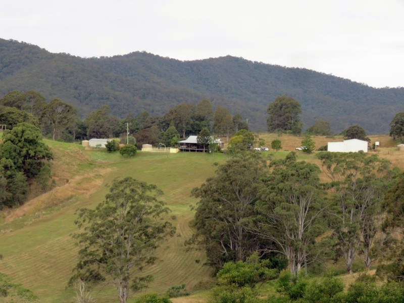 Taylors Arm NSW 2447