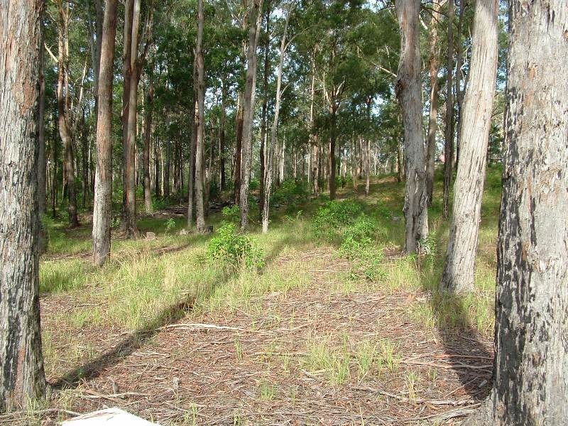 Frederickton NSW 2440