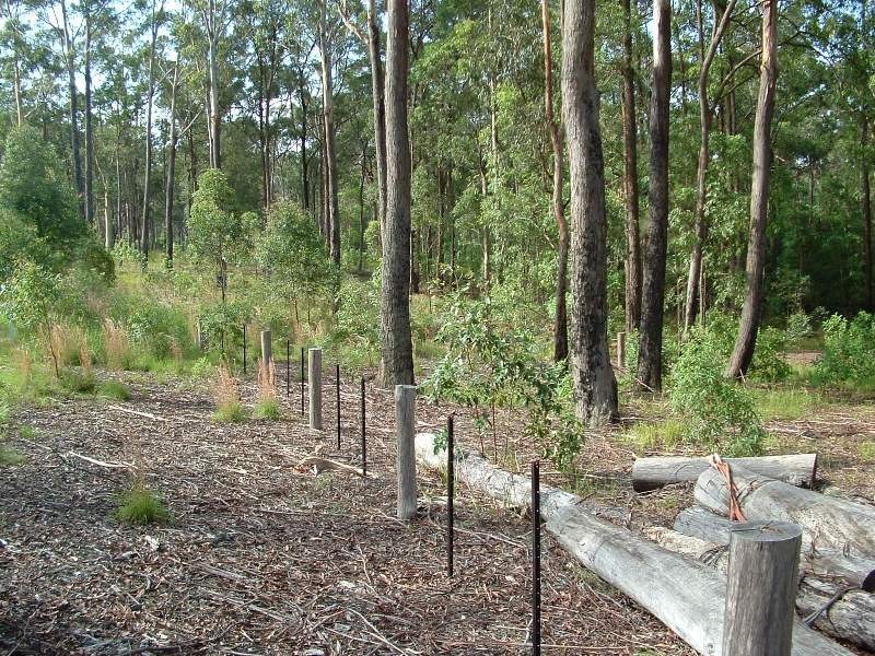 Frederickton NSW 2440