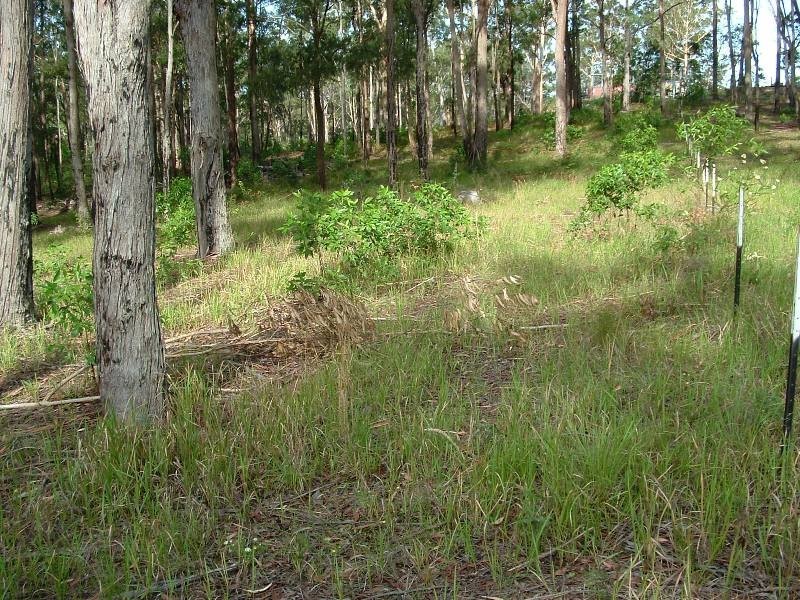 Frederickton NSW 2440