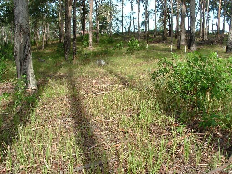 Frederickton NSW 2440