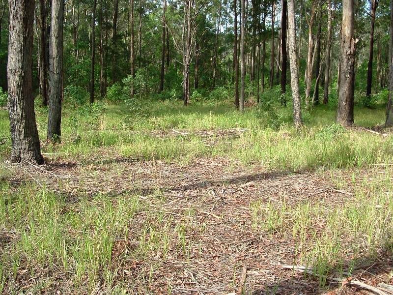 Frederickton NSW 2440