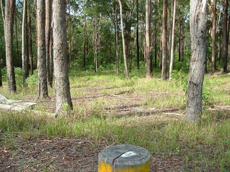 Frederickton NSW 2440