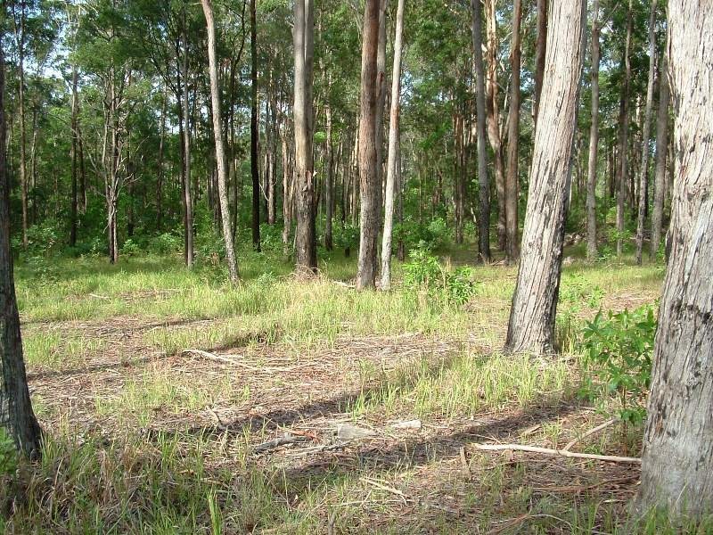 Frederickton NSW 2440