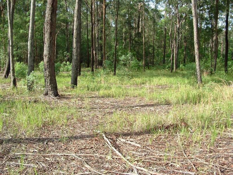 Frederickton NSW 2440