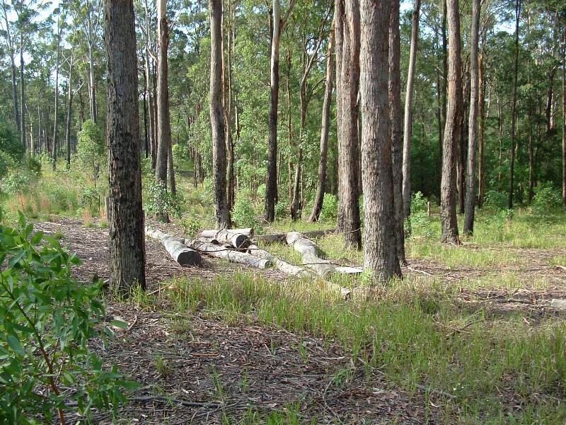 Frederickton NSW 2440