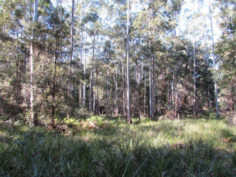 418 Pembrooke Road, Pembrooke NSW 2446