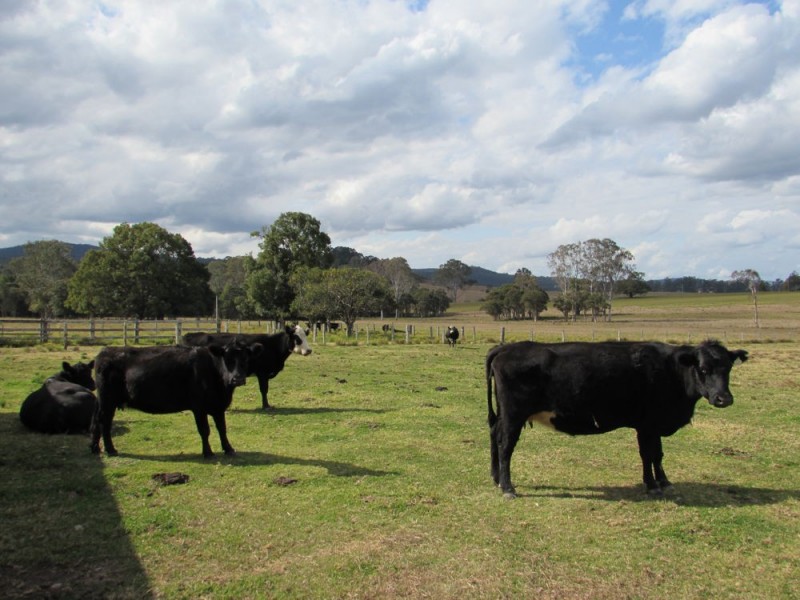 Rollands Plains NSW 2441