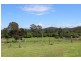 Beechwood NSW 2446
