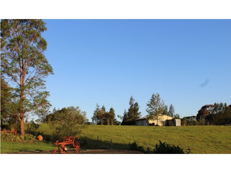 Beechwood NSW 2446