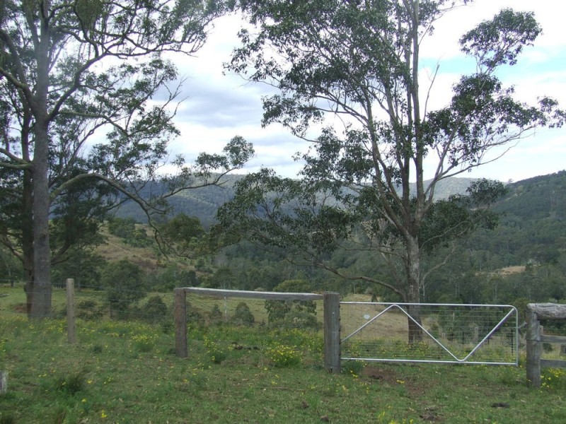 Ellenborough NSW 2446