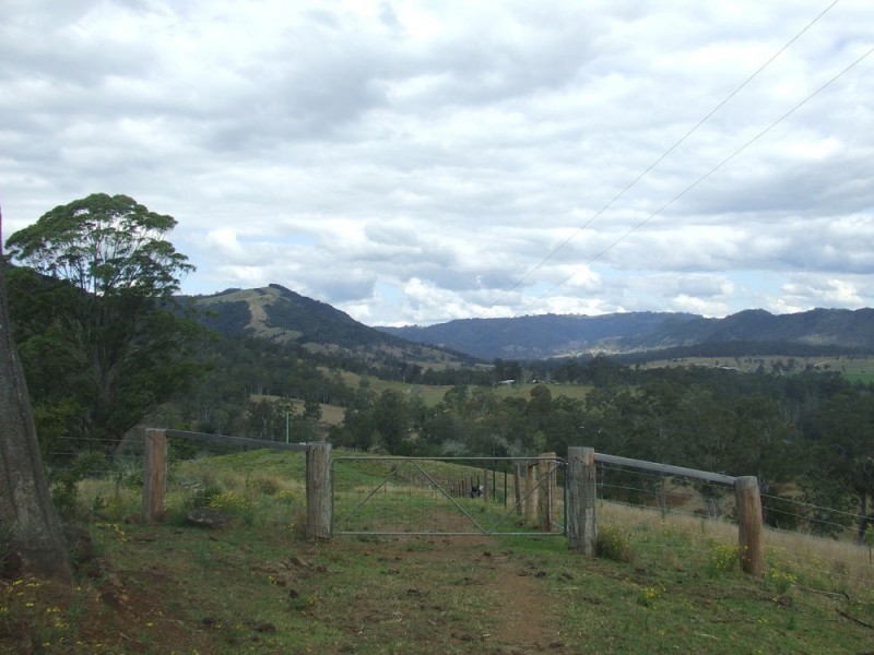 Ellenborough NSW 2446