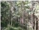 Rollands Plains NSW 2441
