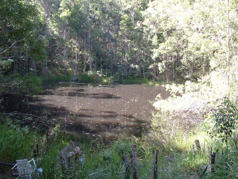 Rollands Plains NSW 2441