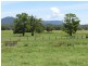 King Creek NSW 2446