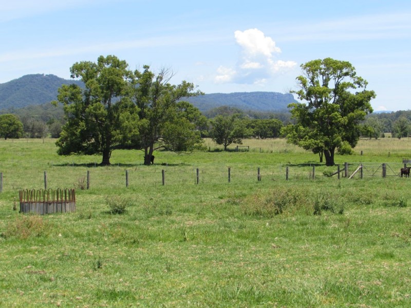 King Creek NSW 2446