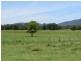 King Creek NSW 2446
