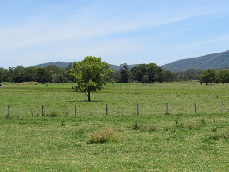 King Creek NSW 2446