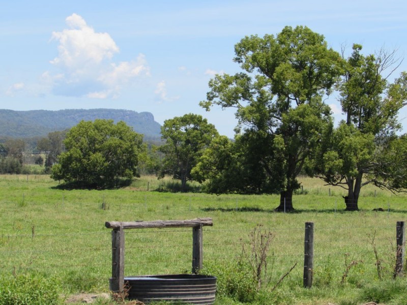 King Creek NSW 2446