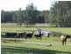 Kundabung NSW 2441