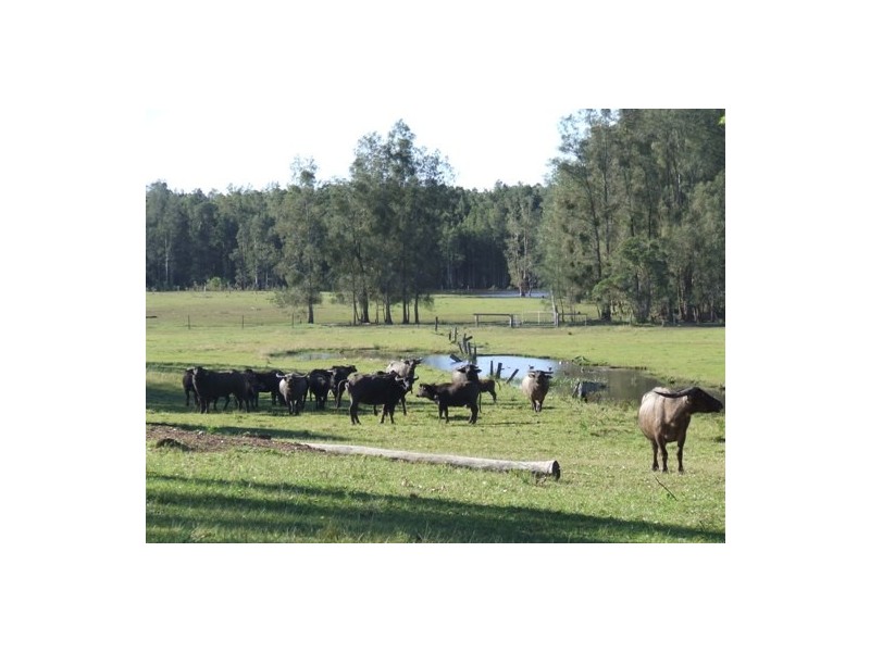 Kundabung NSW 2441