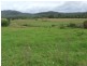 Moorland NSW 2443