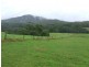 Moorland NSW 2443