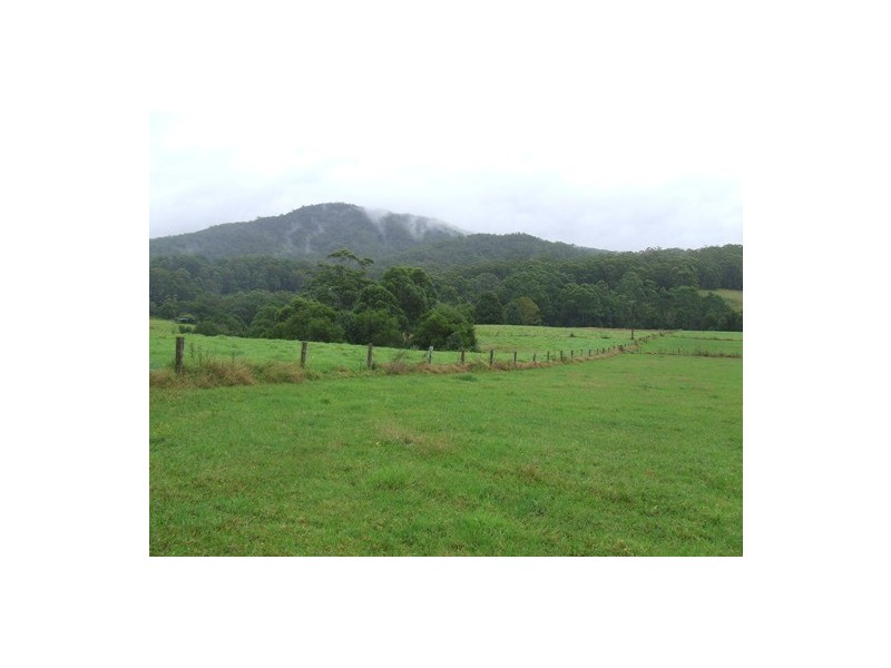 Moorland NSW 2443