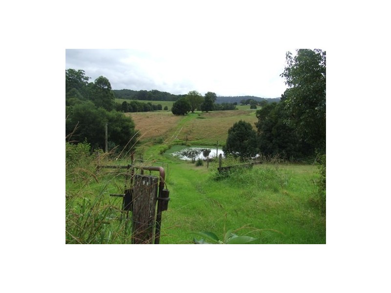 Moorland NSW 2443