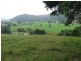 Moorland NSW 2443