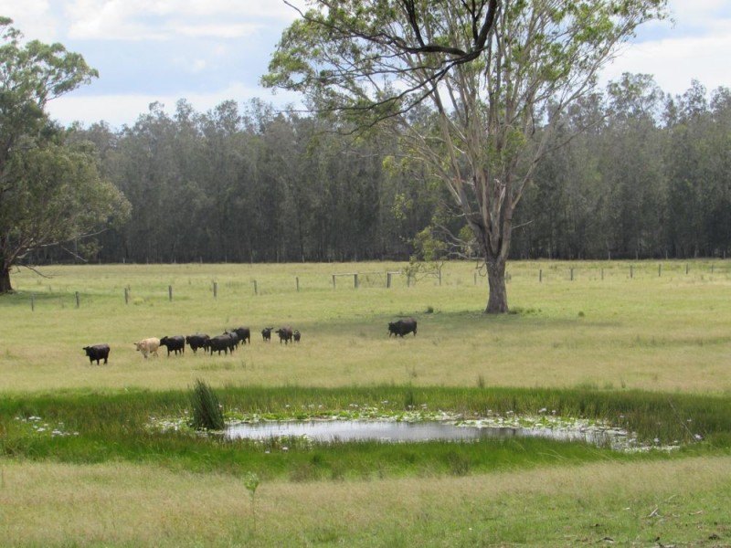 Telegraph Point NSW 2441