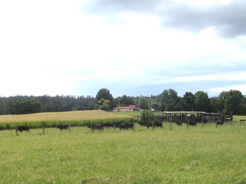 Telegraph Point NSW 2441