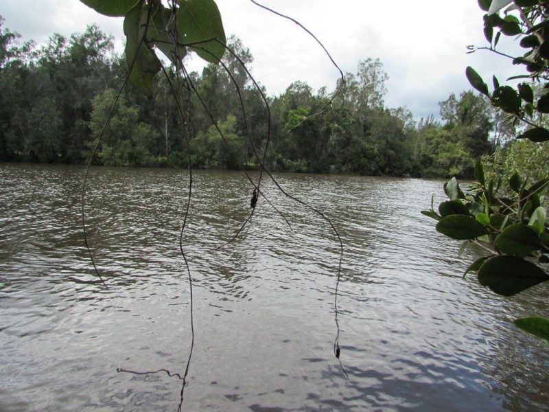 Telegraph Point NSW 2441